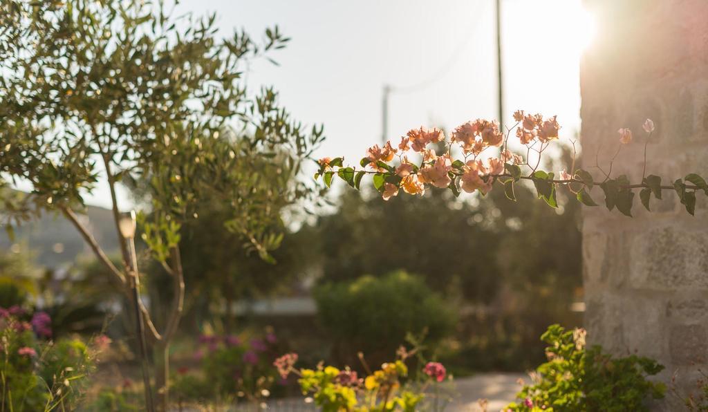 Villa Patmos Netia Skala  Luaran gambar